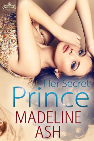 Cover of the book Her Secret Prince by Debra Salonen