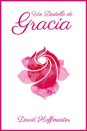 Cover of the book Un Destello de Gracia by Norma Holt