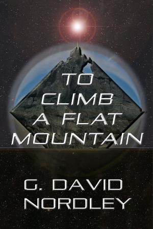 Cover of the book To Climb a Flat Mountain by Colin O'Neill