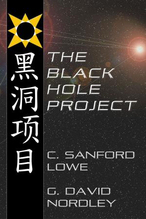 Cover of the book The Black Hole Project by G. David Nordley
