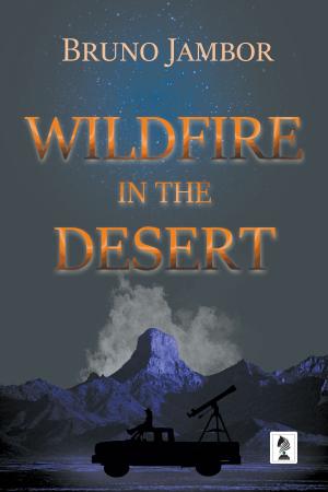 Cover of the book Wildfire in The Desert by Philip K Allan