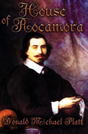 Cover of the book House of Rocamora by Ron Singerton