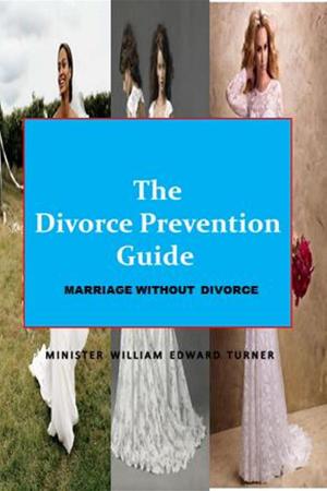 Cover of the book Divorce Prevention Guide by Lonna Weidemann