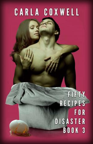 Book cover of Fifty Recipes For Disaster - Book 3