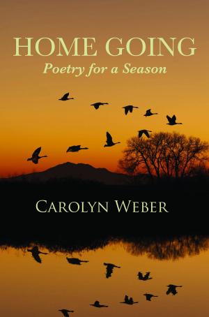 Book cover of Home Going: Poetry for a Season