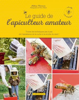 Book cover of Le guide de l'apiculteur amateur