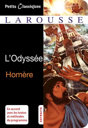 Cover of the book L'Odyssée by Anaïs Galon