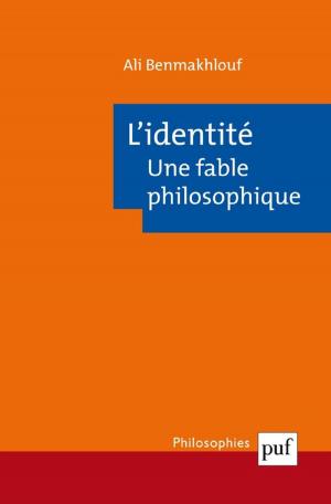 Cover of the book L'identité, une fable philosophique by Roger Dachez