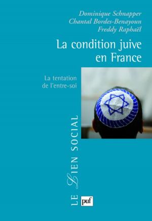 Cover of the book La condition juive en France by Mireille Delmas-Marty, Antonio Cassese