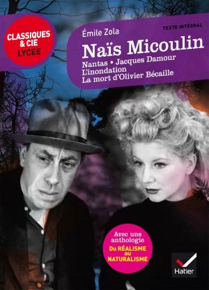 Cover of the book Naïs Micoulin et autres nouvelles by Johan Faerber, Laurence Rauline