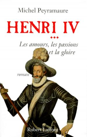 Cover of the book Henri IV - Tome 3 by Myra ELJUNDIR