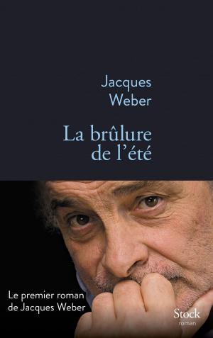 Cover of the book La brûlure de l'été by Simonetta Greggio