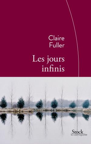 Cover of the book Les jours infinis by Eric Faye