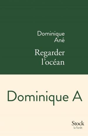 Cover of the book Regarder l'océan by Yves Michaud