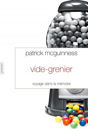 Book cover of Vide-Grenier