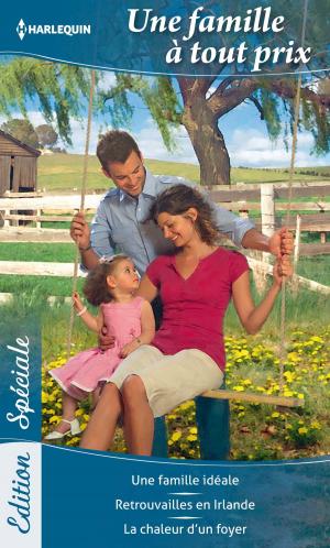 Cover of the book Une famille à tout prix by Marin Thomas