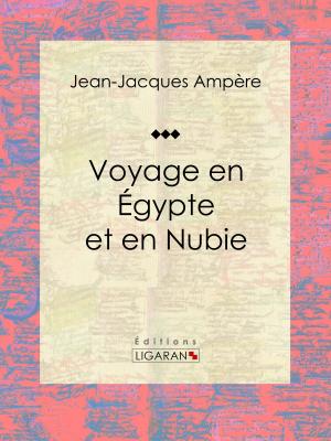 Cover of the book Voyage en Égypte et en Nubie by André Lefèvre, Ligaran