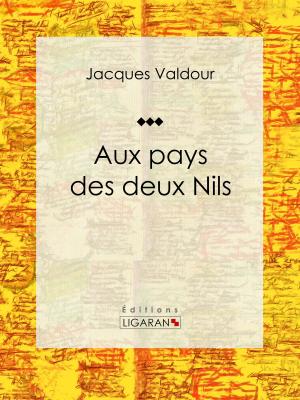 Cover of the book Aux pays des deux Nils by François Mazuy