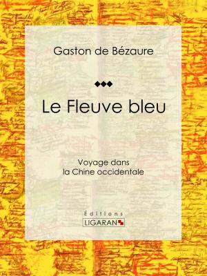 Cover of the book Le Fleuve bleu by Gaëtan de Wismes, Ligaran