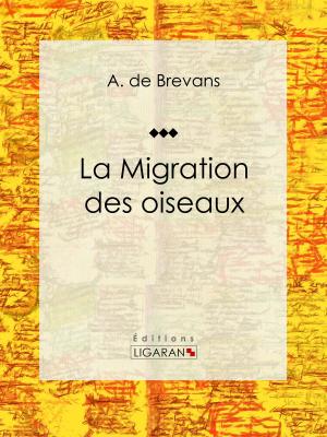 Cover of the book La migration des oiseaux by Paul Landormy, Ligaran