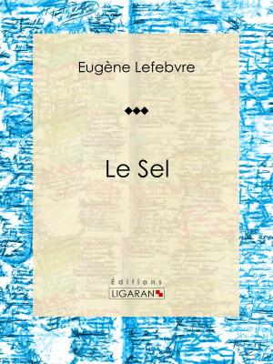 Cover of the book Le sel by Earl Thompson