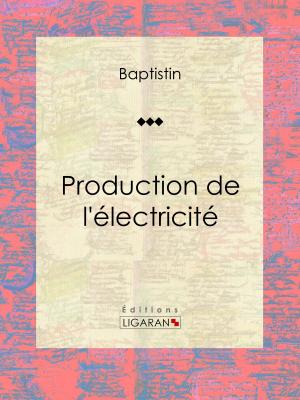 Cover of the book Production de l'électricité by Voltaire, Ligaran