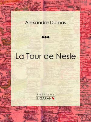 Cover of the book La Tour de Nesle by Jules Barthélemy-Saint-Hilaire, Ligaran