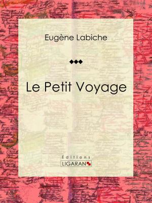 Cover of the book Le Petit Voyage by Ligaran, Denis Diderot