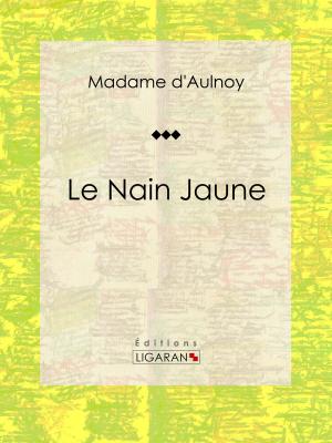 Book cover of Le Nain Jaune
