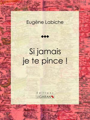 Cover of the book Si jamais je te pince ! by Émile Durkheim, Ligaran