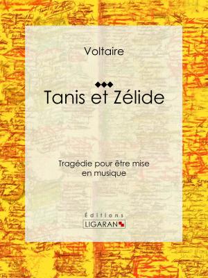 Cover of the book Tanis et Zélide by Pierre Alexis de Ponson du Terrail, Ligaran