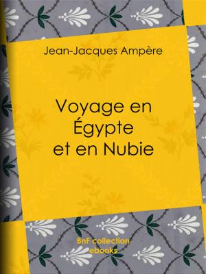 Cover of the book Voyage en Égypte et en Nubie by Blaise Pascal
