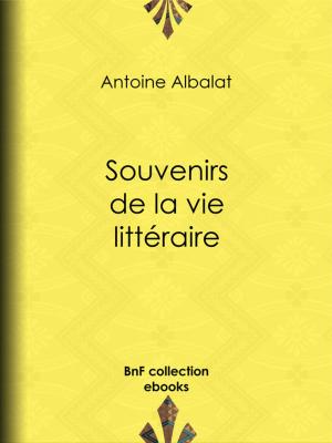Cover of the book Souvenirs de la vie littéraire by Alcide-Joseph Lorentz, Théodose Burette