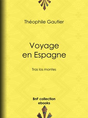 Cover of the book Voyage en Espagne by John-Antoine Nau