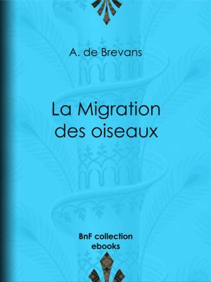 Cover of the book La Migration des oiseaux by Xavier Eyma
