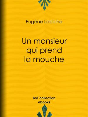 Cover of the book Un monsieur qui prend la mouche by Jean-Charles Rodolphe Radau, A. Jahandier