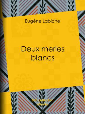 Cover of the book Deux merles blancs by Bernard-Henri Gausseron