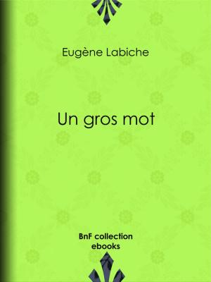 Cover of the book Un gros mot by Jean-André Merle d'Aubigné