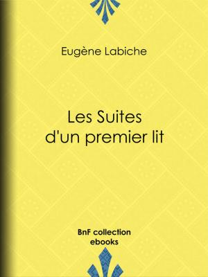 Cover of the book Les suites d'un premier lit by Eugène Labiche, Émile Augier