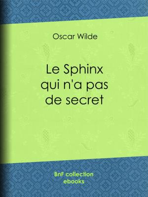 Cover of the book Le Sphinx qui n'a pas de secret by Paul Féval