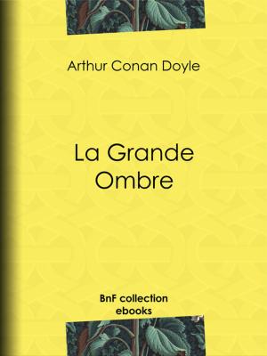 Cover of the book La Grande Ombre by Pierre Maël