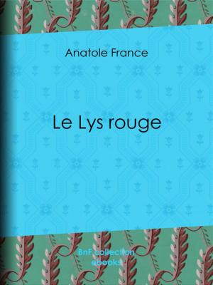 Cover of the book Le Lys rouge by Edmond About