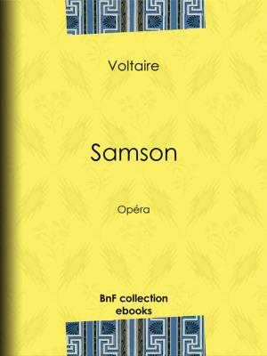 Cover of the book Samson by Paul Verlaine