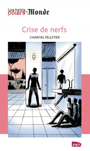 Cover of the book Crise de nerfs by David Foenkinos