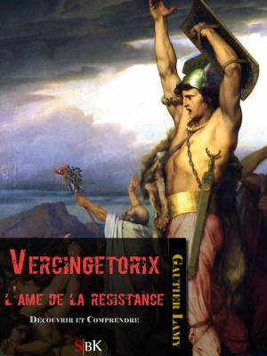 Cover of the book Vercingétorix by Michel Zévaco