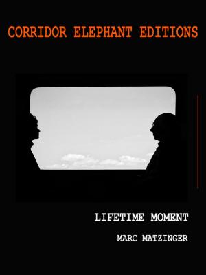 Cover of the book Lifetime moment by Yann Verrier