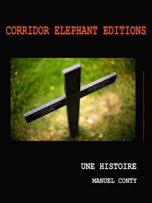 Cover of the book Une Histoire by Marc Matzinger