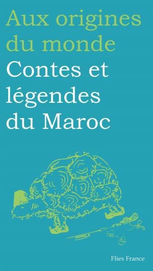 Cover of the book Contes et légendes du Maroc by Elisabeth Motte-Florac, Aux origines du monde