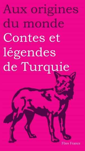 Cover of the book Contes et légendes de Turquie by Marcel Van Den Berg, Aux origines du monde
