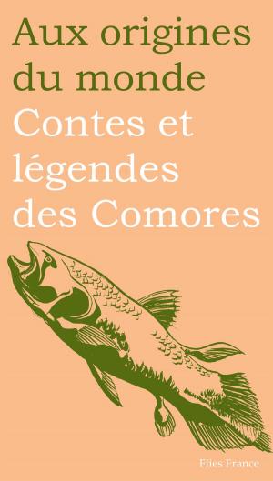 Book cover of Contes et légendes des Comores